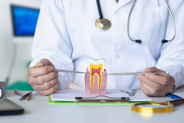 Best Emergency Dental Services for Seniors in Williston Park, NY